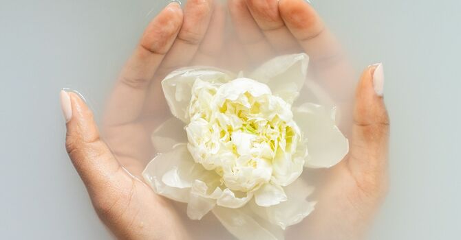 Summer Special image