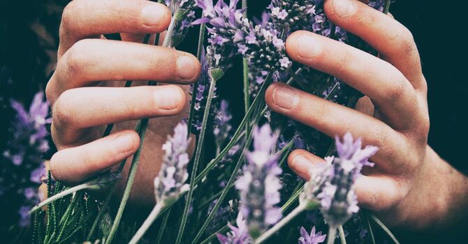 Demystifying Acupuncture A Patients Guide